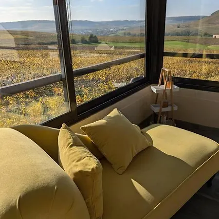 Maison Chez Papy 4 Etoiles Leuvrigny